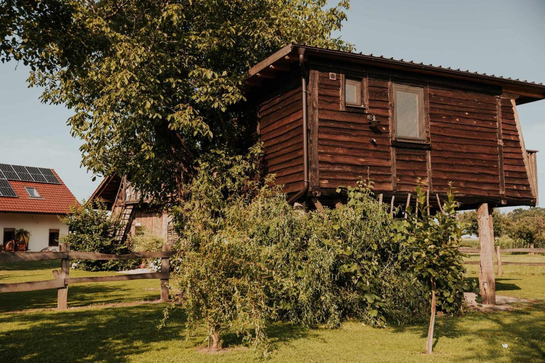 Treehouse Drevesna Hiska Strkovo Gnezdo Ranc Jures Hotel Ljutomer Exterior foto